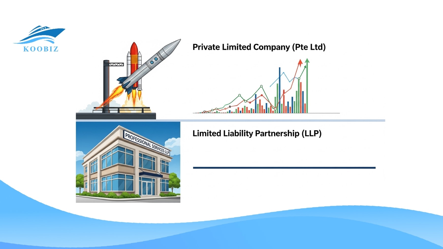 Pte Ltd: fundraising; LLP: professional services Pte Ltd: fundraising; LLP: professional services
