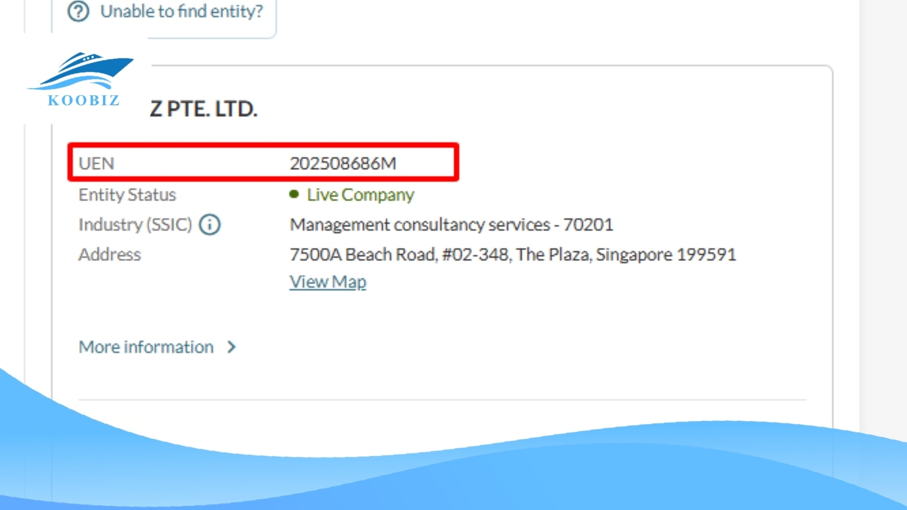 Singapore UEN Number (Source: BizFile)