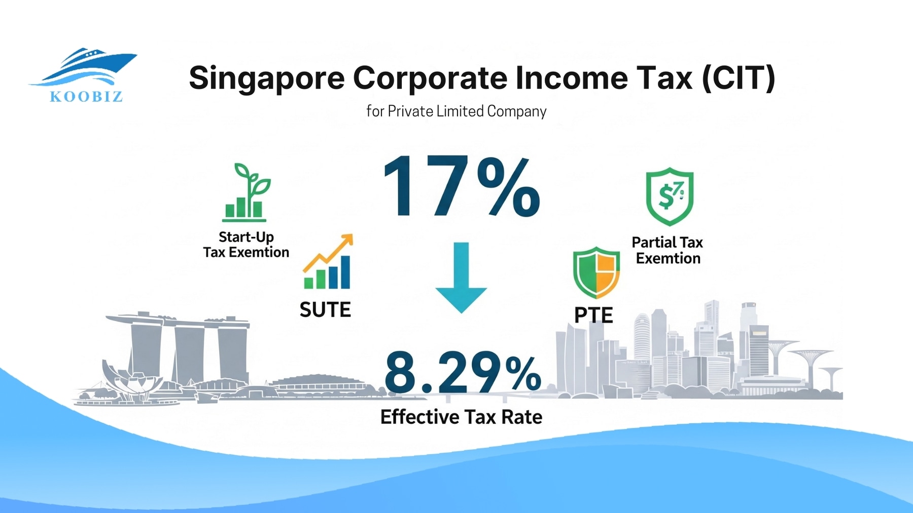 Singapore Pte Ltd Tax Policy